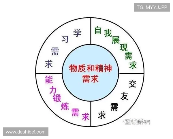 深圳篮球队的团队协作精神探讨与实践分析 深圳篮球队的团队协作精神探讨与实践分析